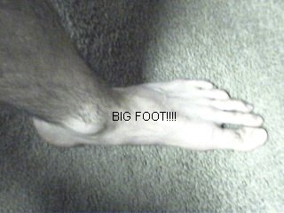 Picture 81.jpg