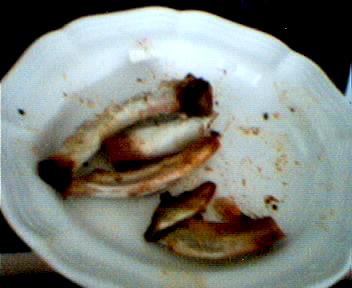 Picture 013.jpg