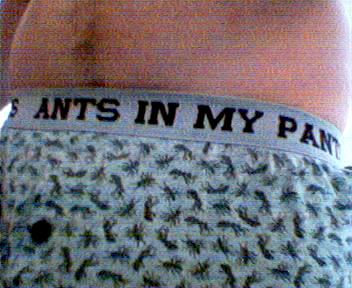 Picture 015.jpg