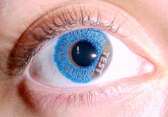 blue1.JPG