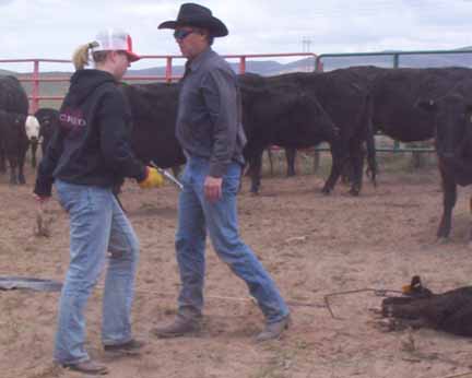 That's my dad going to tag and/or castrate another one, and me with my giant shot full of immunization