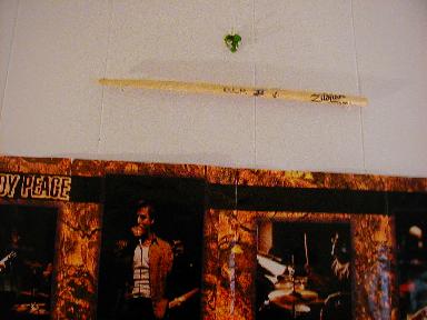 Drumstick.JPG