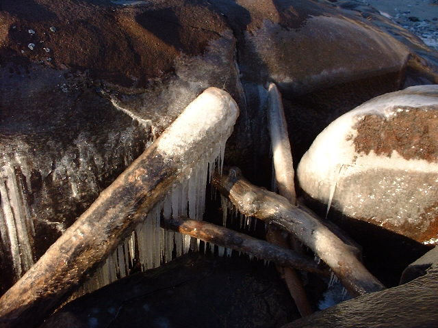 ice-covered log