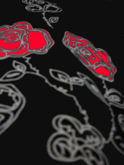 IMG_0065(edit)red.jpg
